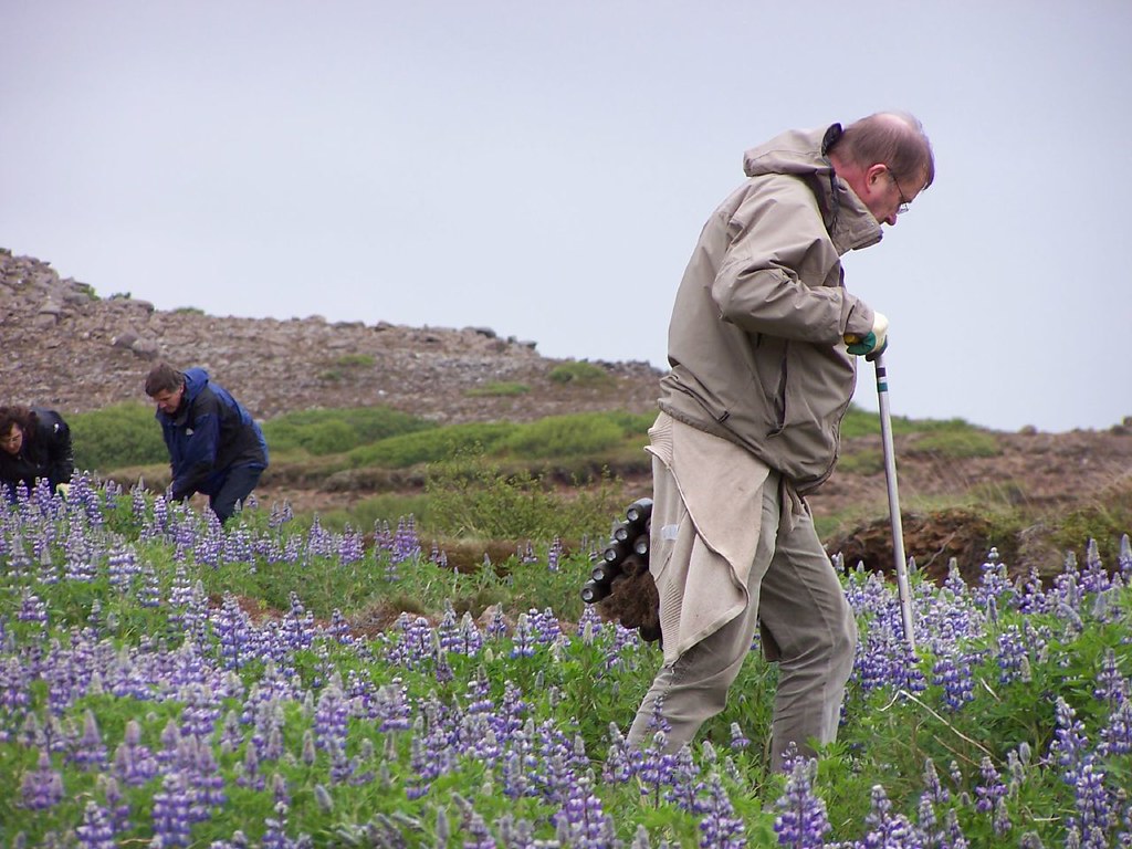070615tree planting_2 Now in Iceland Flickr
