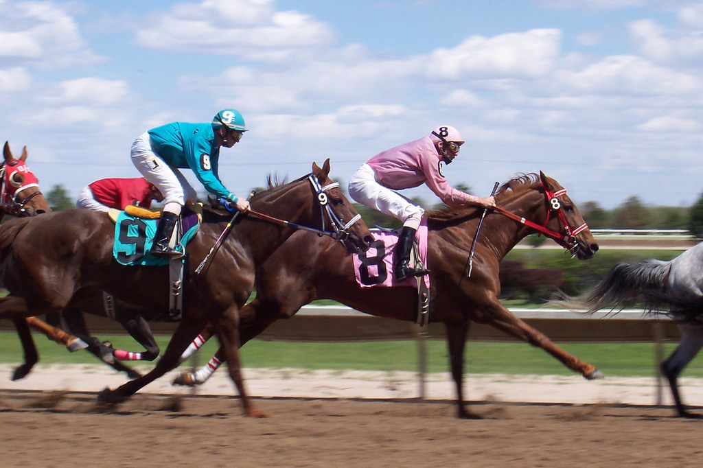Horse Race at Fonner Park, Nebraska A horse race at Fonner… Flickr