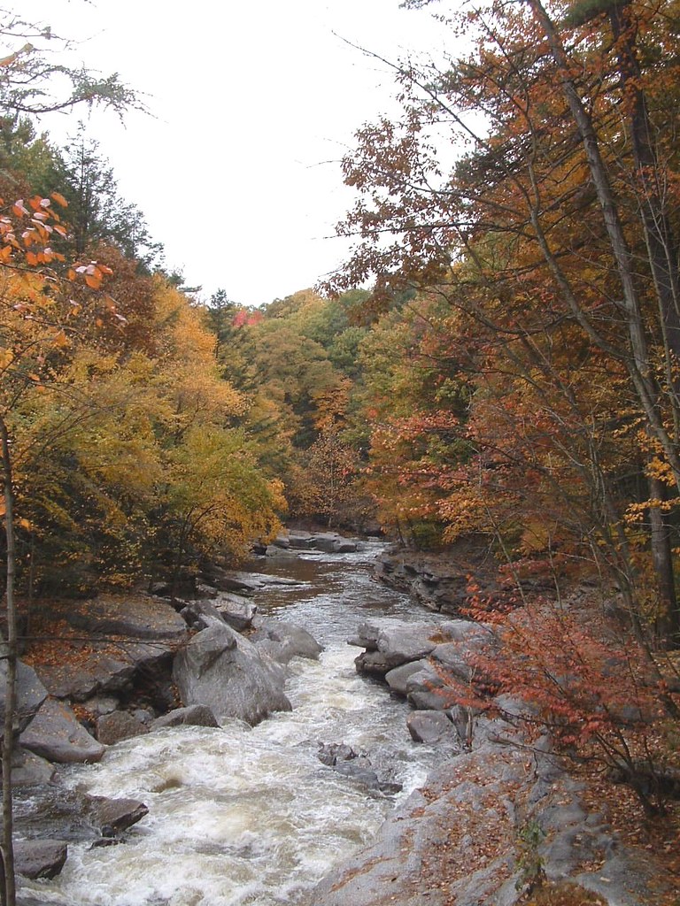 Roaring Brook, Scranton, PA Pat Walsh Flickr