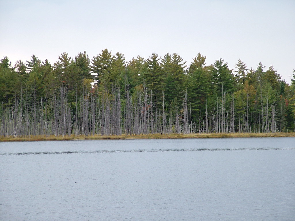 Canada 2004 129 Gibson Lake Ontario martyn.gibson Flickr