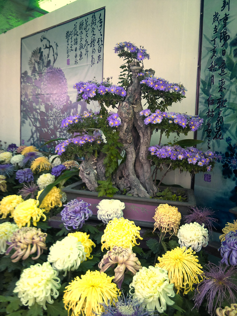 Chinese Flowers Nikolai Ormazablev Flickr