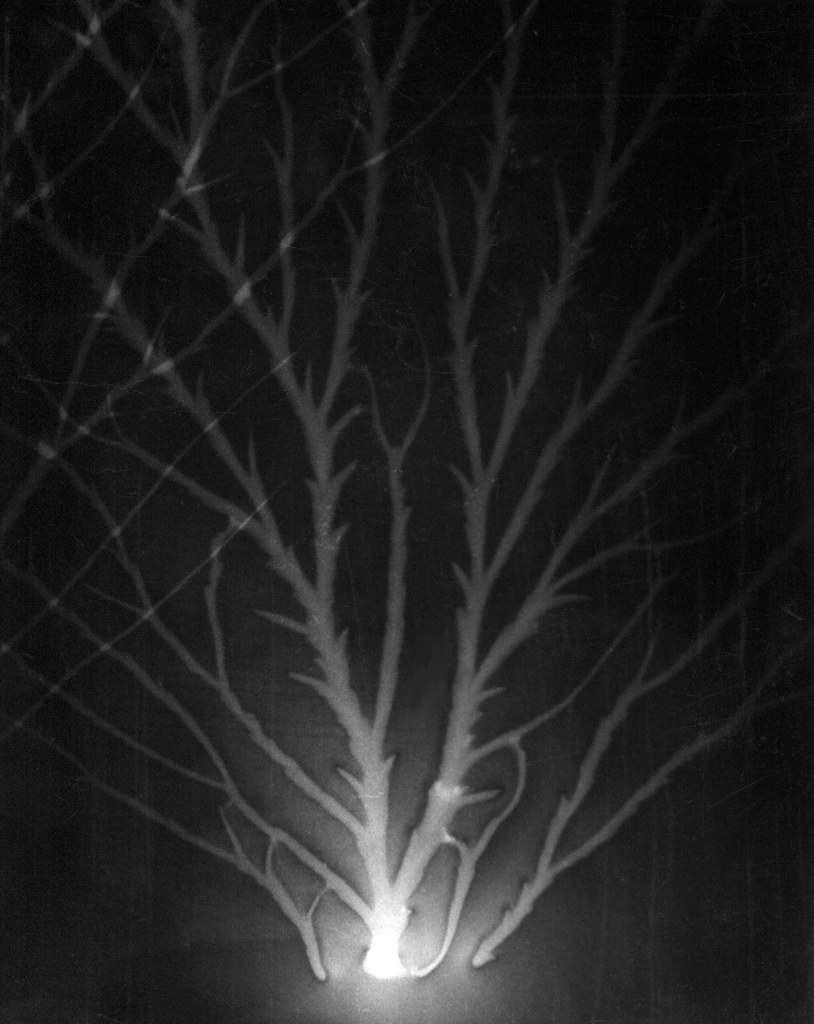 static electricity spark It happened a long time ago, when… Flickr