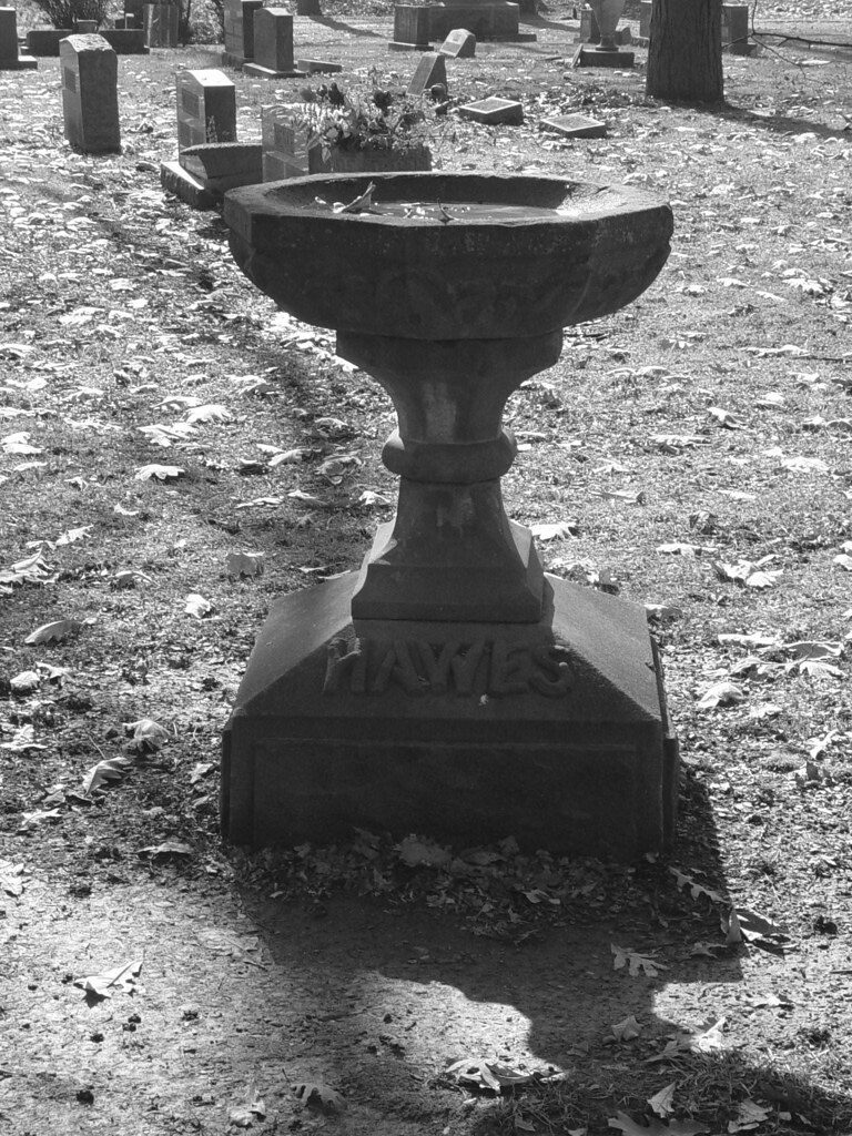 Forest Hill Cemetery A bird bath, thank you Hawes. 9 Nov 0… A2 Lebowsky Flickr