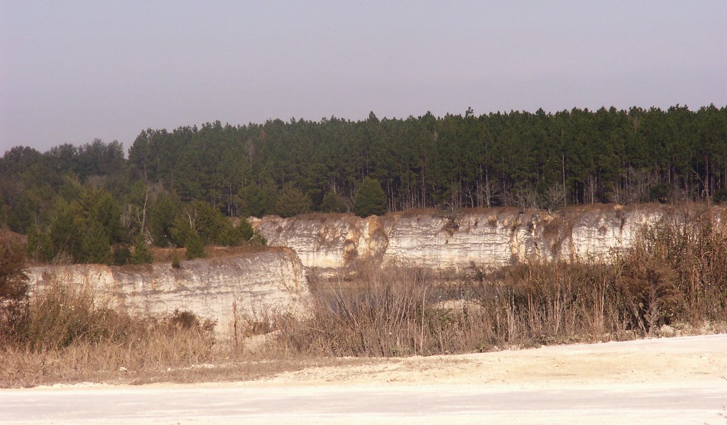 Limestone Quarry in Alachua County, Florida, View 1 Flickr