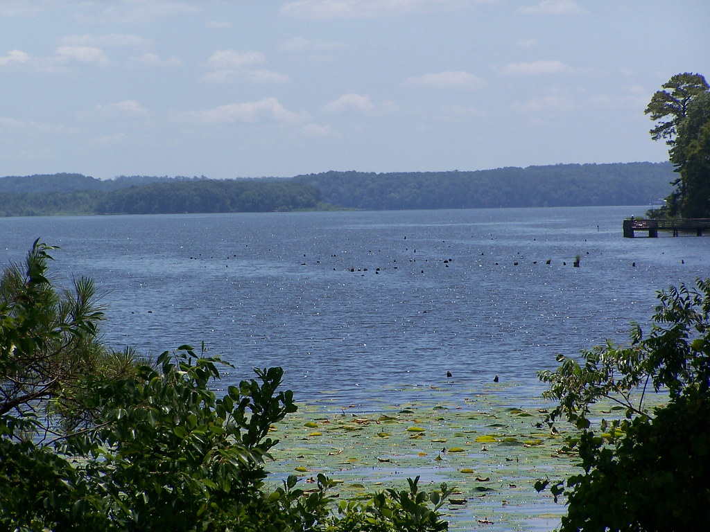 Lake Seminole from the Sneads, FL side Jacquie Wingate Flickr