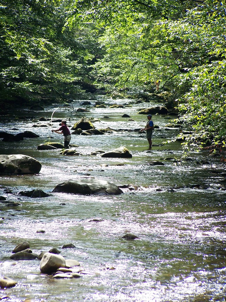 Fly Fishing Elkmont Smoky Mtn Tennessee Fishing not so