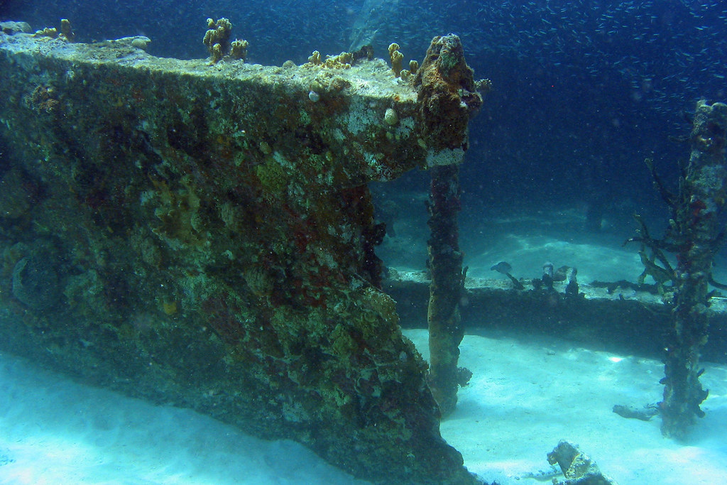 Dog Island Shipwreck The remains of a ship that ran agroun… Flickr