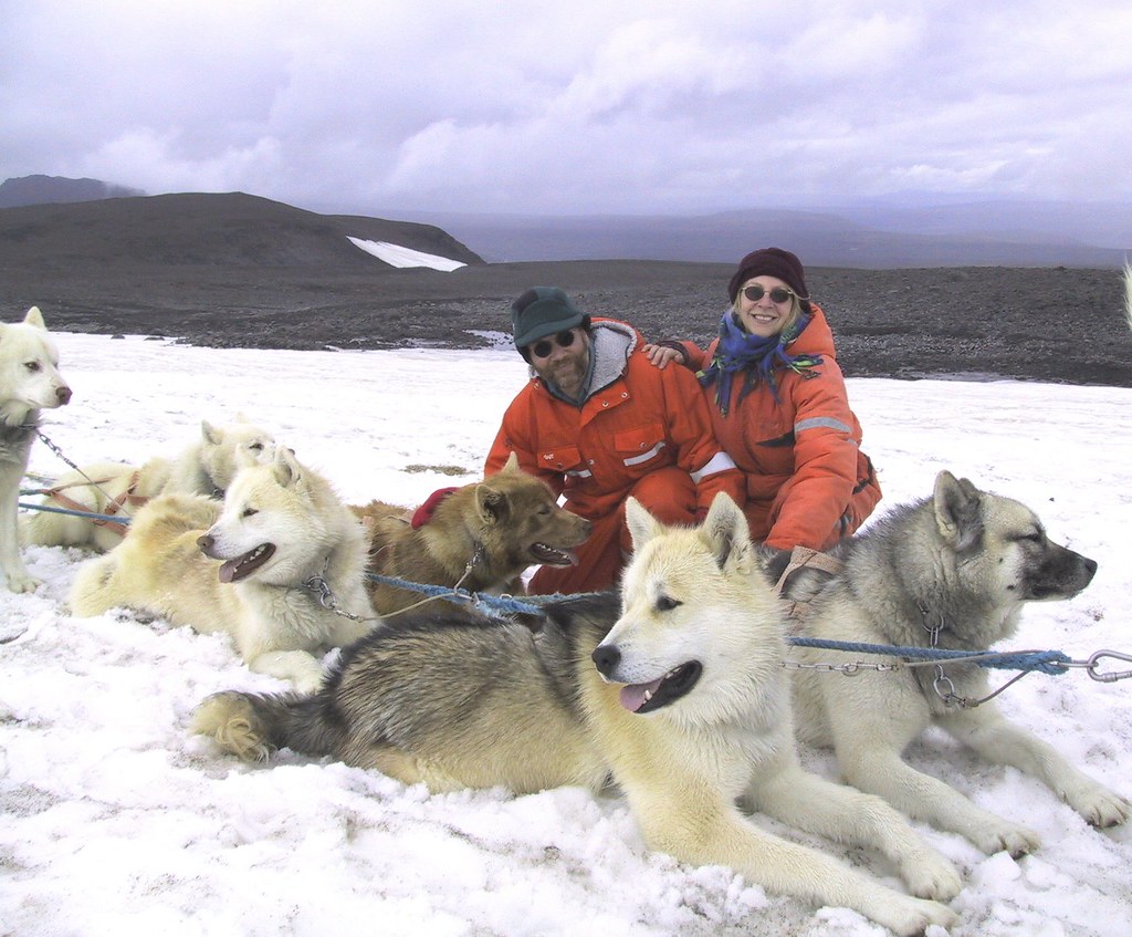 Iceland glacier dogs Dogsledding dogs taking a rest on a g… Flickr