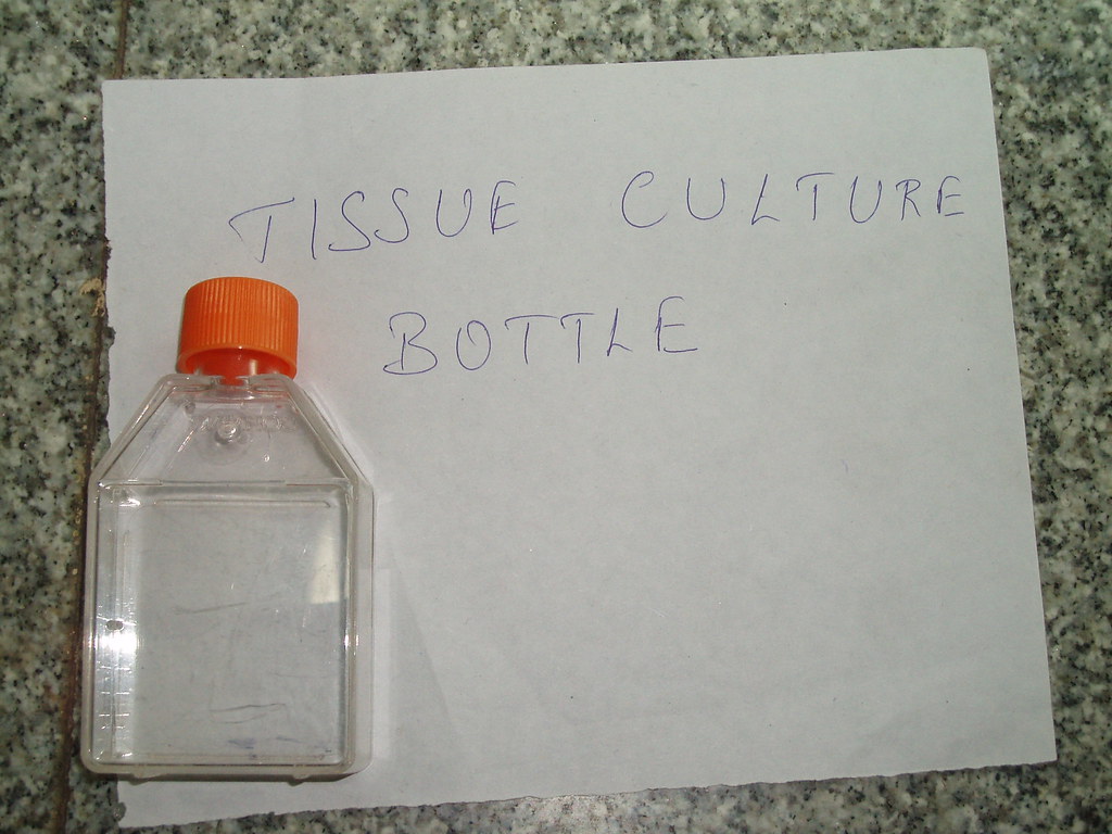 Microbiology spotters Flickr