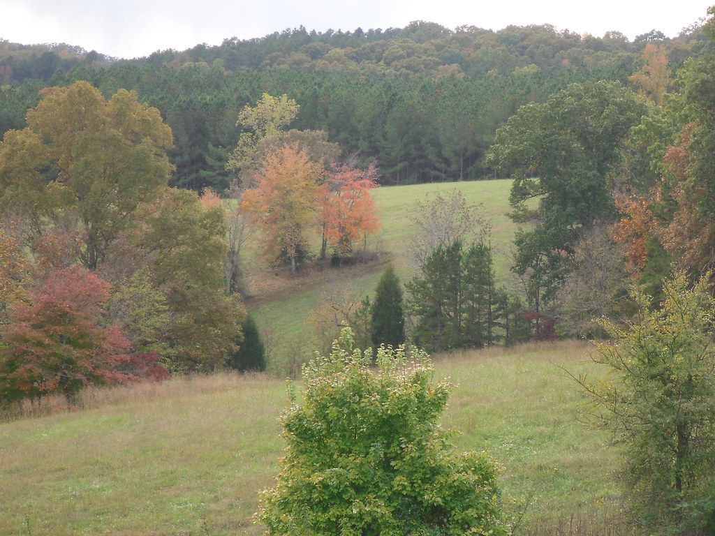 Rolling Hills and Beautiful Colors View of farm in Albemar… Flickr