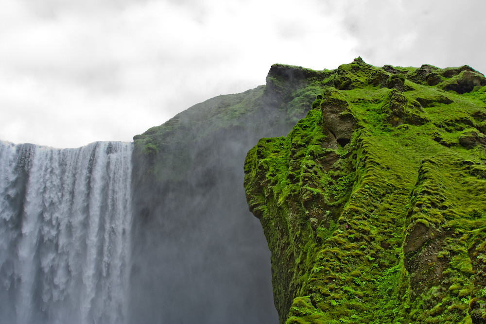 100 humidity makes the grass go green! Kristján U. Kristjánsson