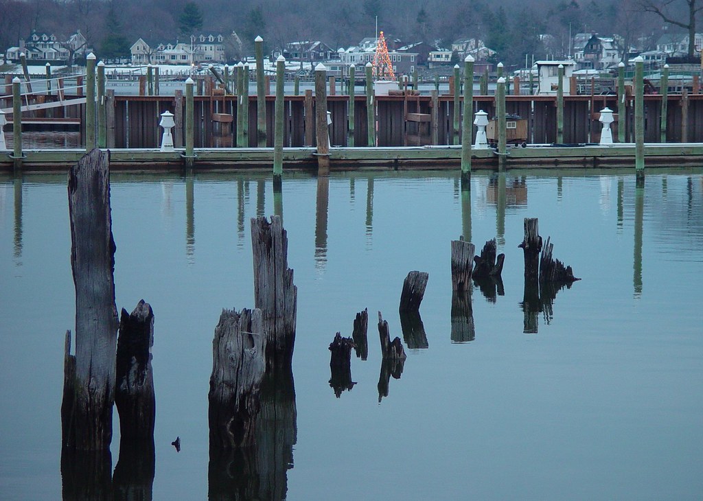 Rumson Navesink It was the Christmas tree that appealed to… Flickr