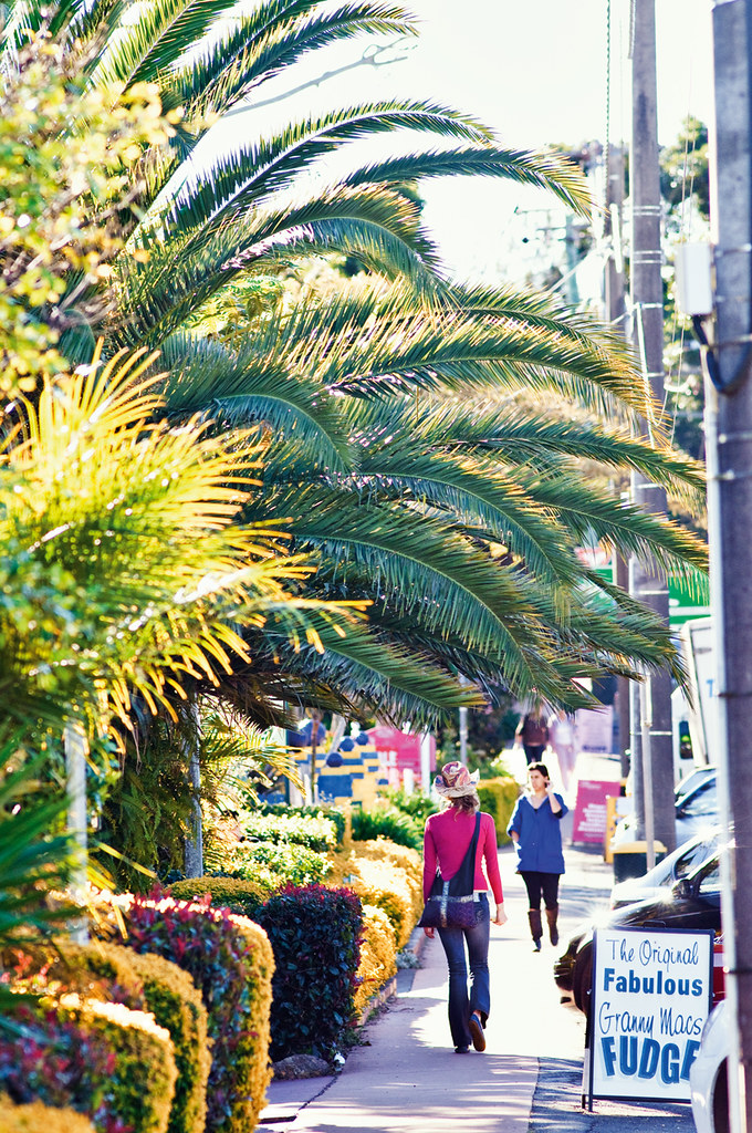 Gallery Walk Tamborine Mountain Gallery Walk is famous as … Flickr