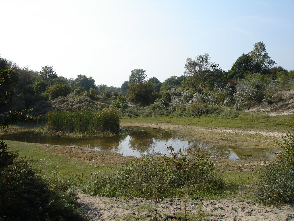 Dune lake Ferdinand Flickr