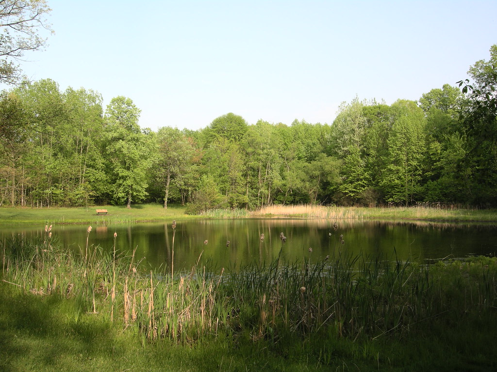 051310(46F77F) 6 Heron Pond june33813 Flickr