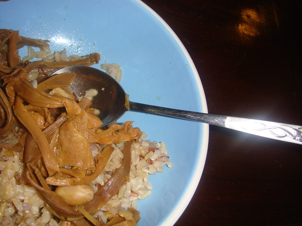 DSC01426Dried Chinese Bamboo Shoots Soup DSC01426Dried Chi… Flickr