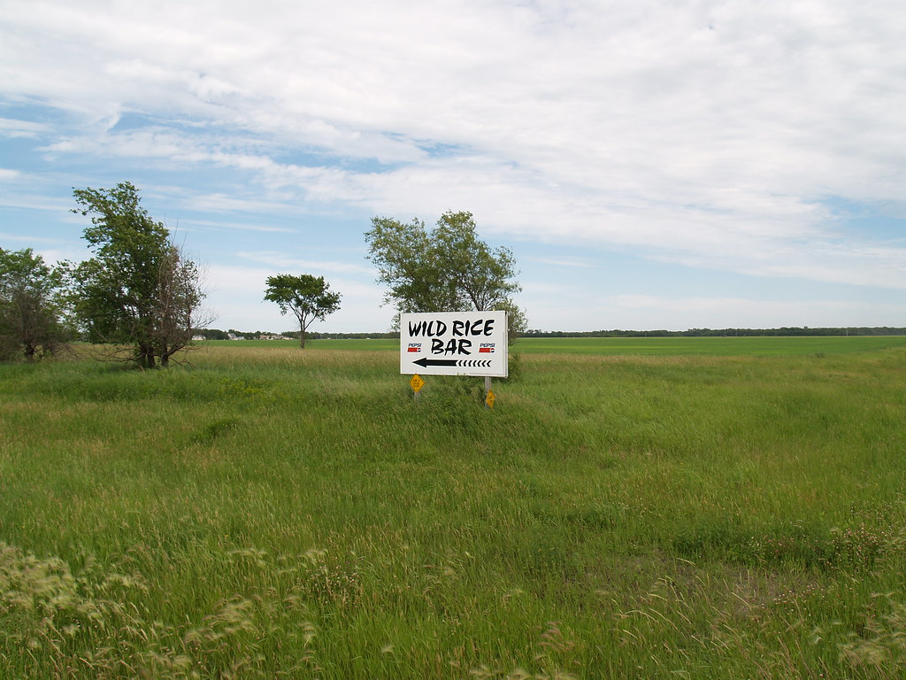 Wild Rice, North Dakota Wild Rice, North Dakota. From ever… Flickr