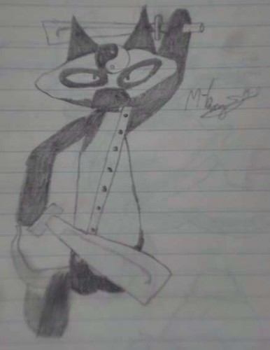 Gato Ninja Jpg Un Pequeno Gato Ninja Xd Miauuuuuzassss Flickr