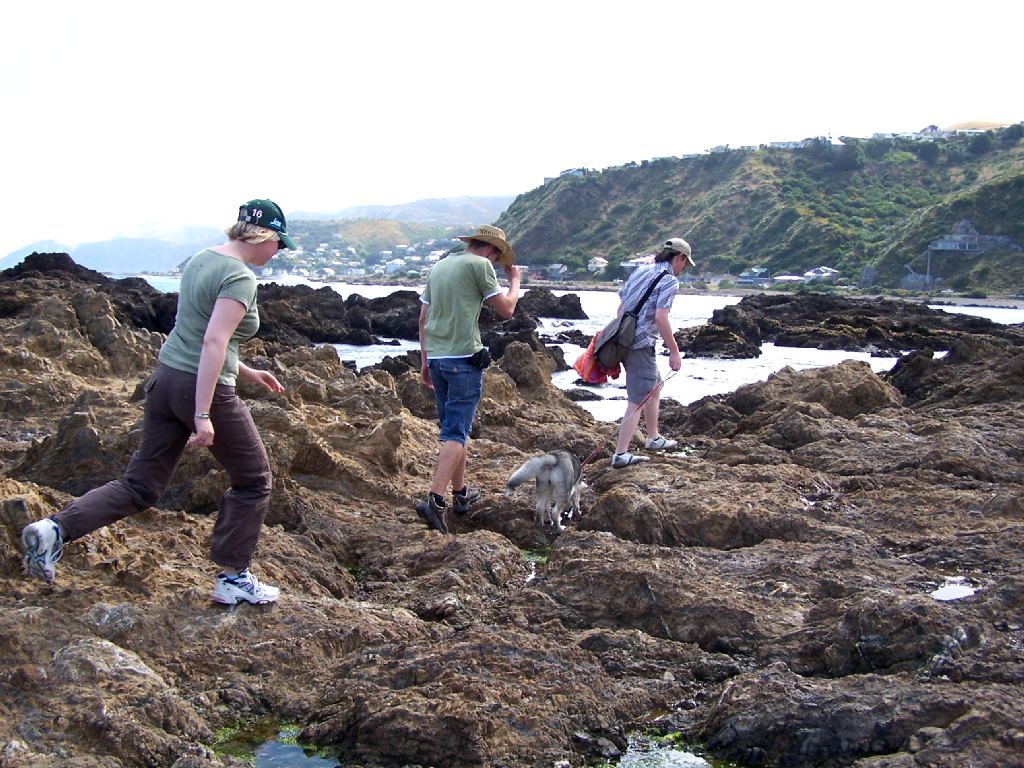 Rock hopping Stuart Fields Flickr