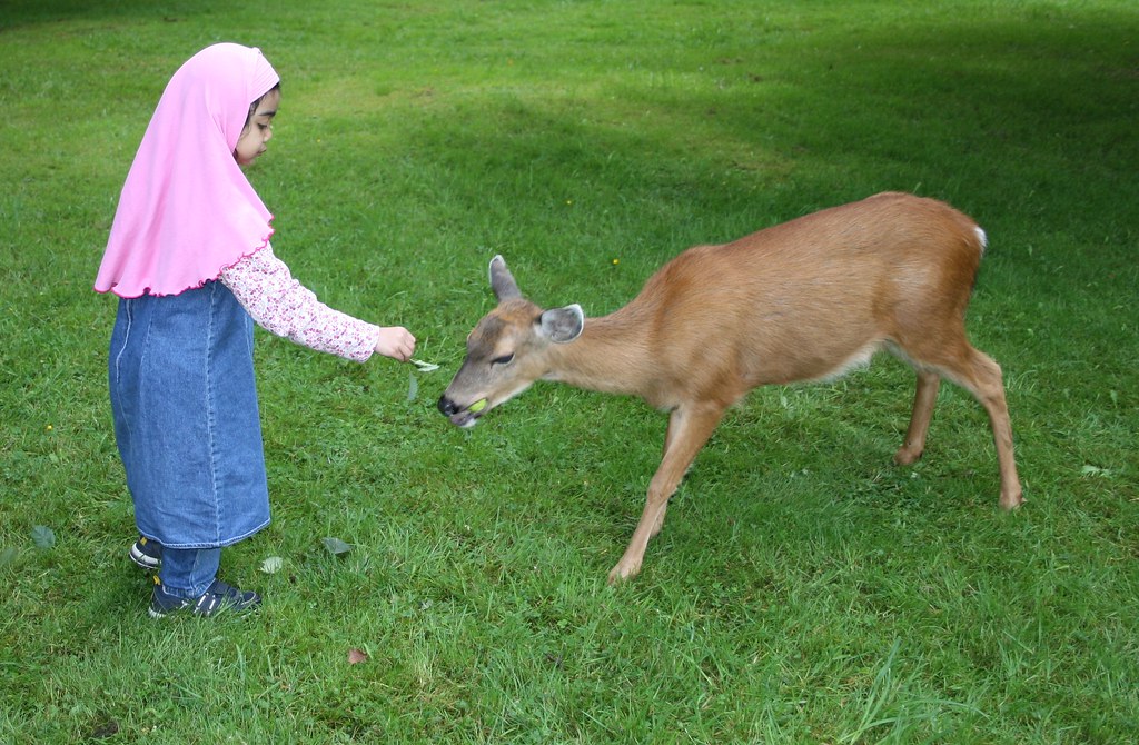 love our animals 3 canon 1855 35mm 1/125 f5.6 iso 100 thidita