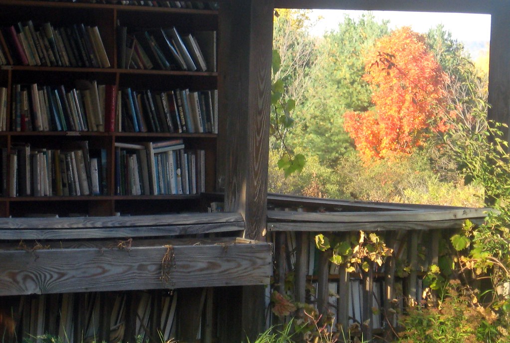 Phoenix Books, Ithaca, New York. Nigel Beale