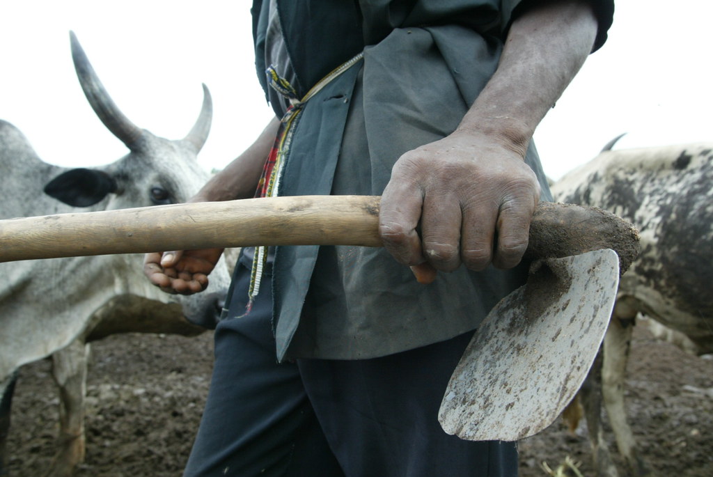Mixed cropandlivestock farming in Nigeria A smallscale … Flickr