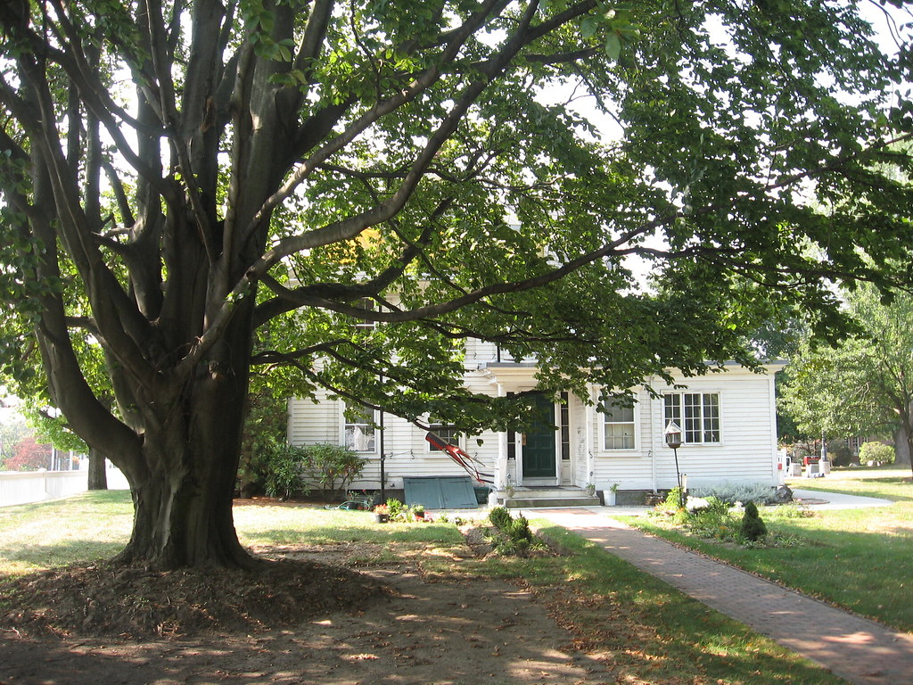 Governor Sprague Mansion rear nsub1 Flickr