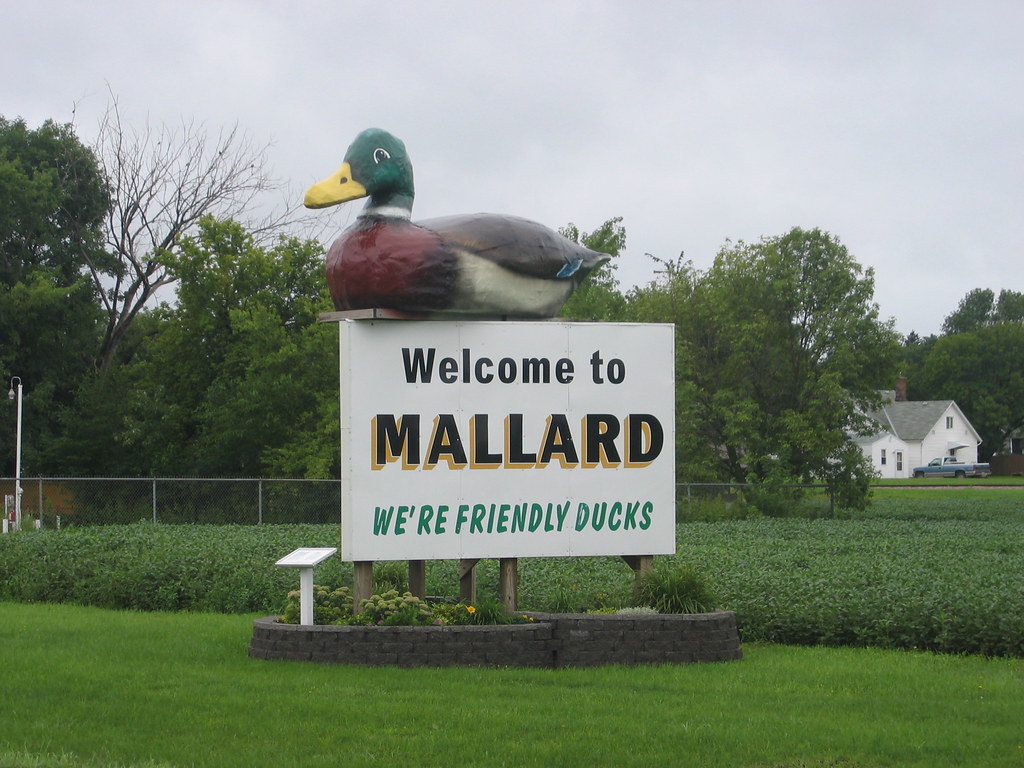 55 Mallard, IA yizzie77 Flickr