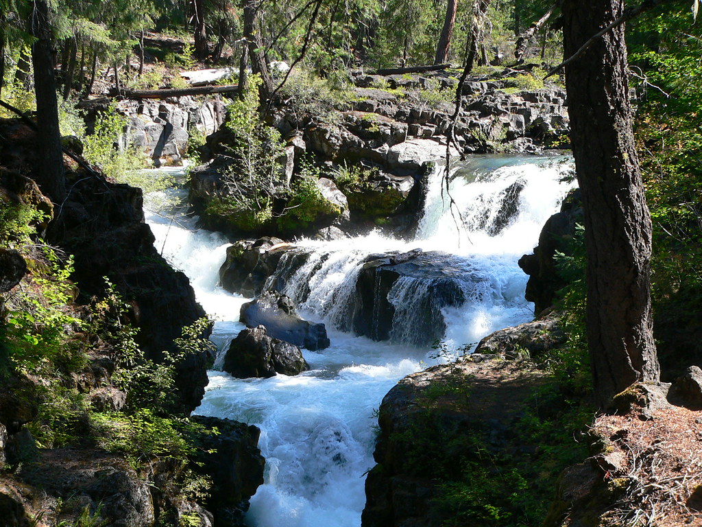 Rogue River A on the Rogue River in Oregon. We… Flickr