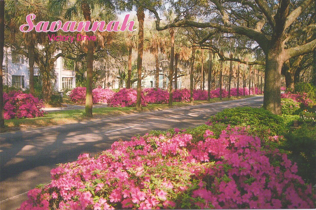 Victory Drive Savannah, a photo on Flickriver