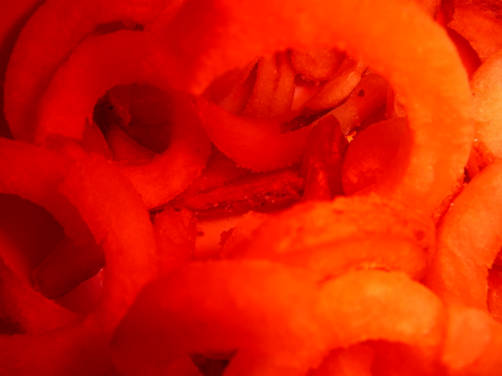 blood fries fries with a blood filter becky bokern Flickr