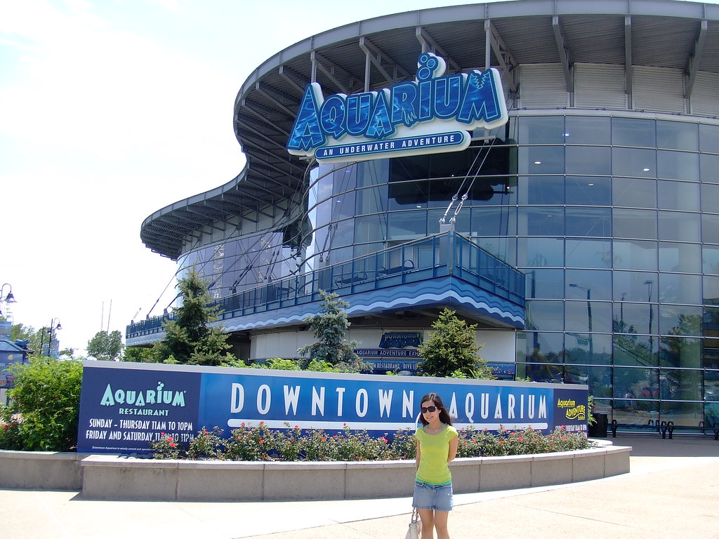 Denver Downtown Aquarium Featured here saturnism Flickr