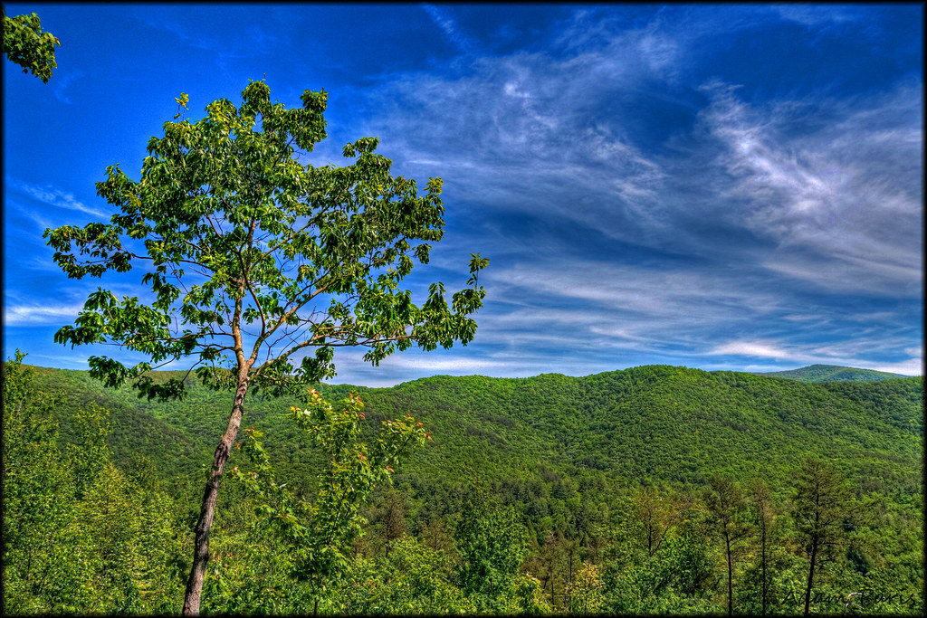 Elevation of 69 Oak Ridge Rd, Ellijay, GA, USA Topographic Map