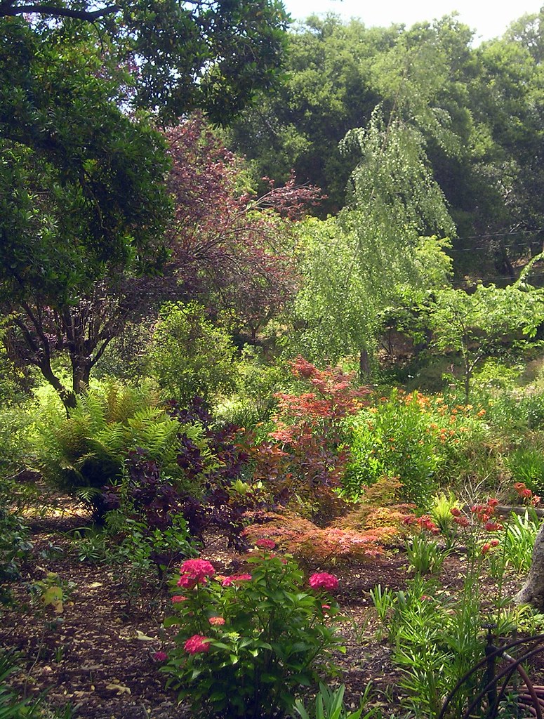 Dry Creek Meyers Garden. East Bay Regional Park District Flickr