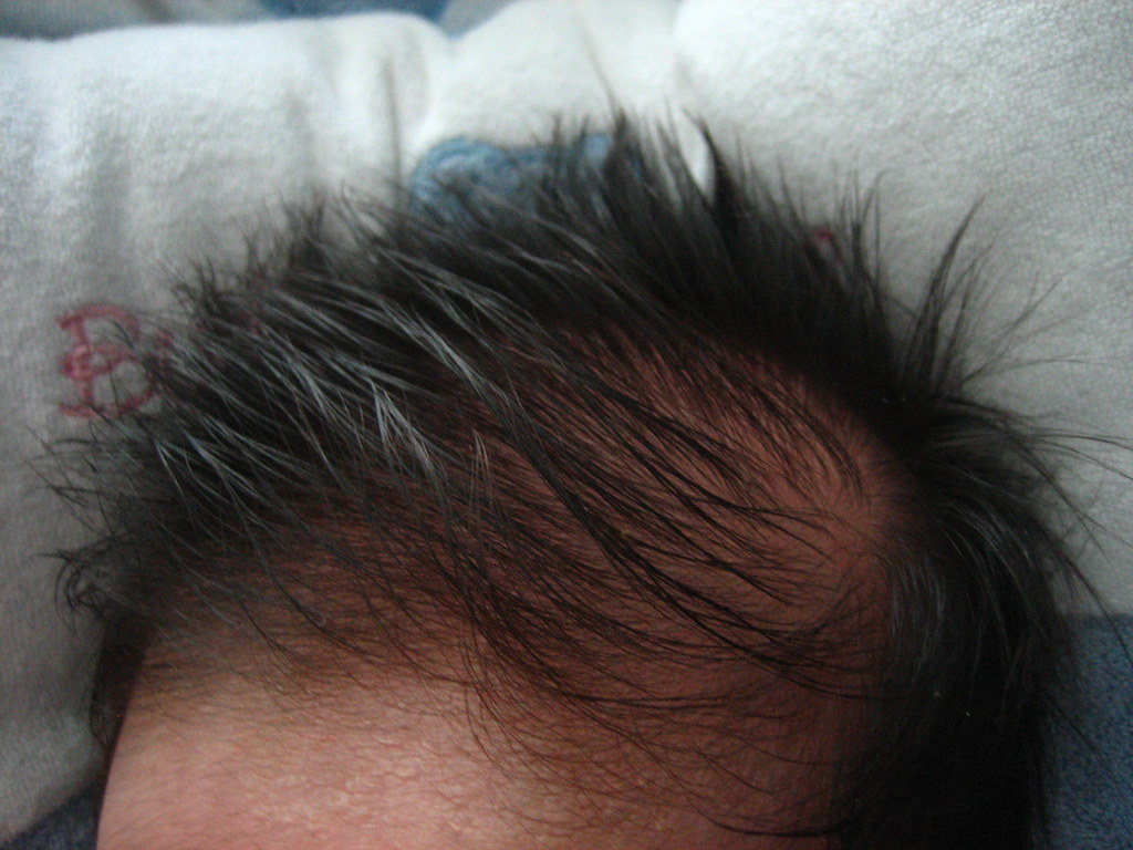 Kiefer's generous tuft of hair Vanessa Tan Flickr