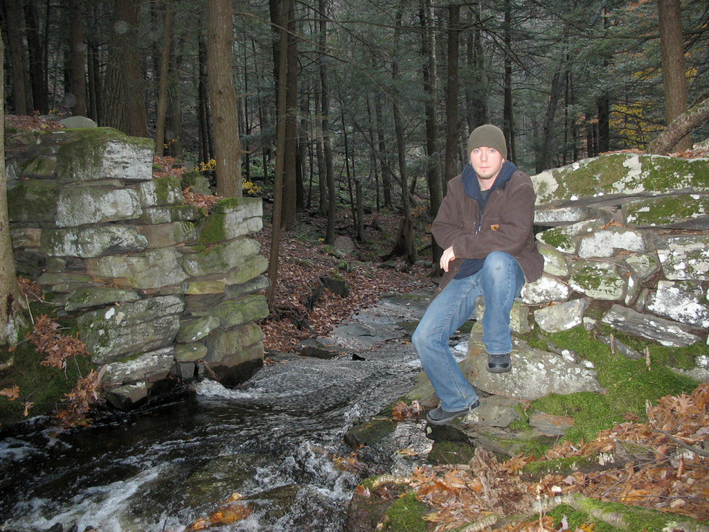 Dark Entry Forest / Dudley Town This is in the famous Dudl… Flickr