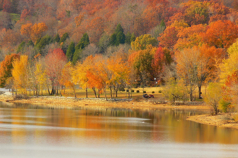 Elevation of Golden Pond, KY, USA Topographic Map Altitude Map