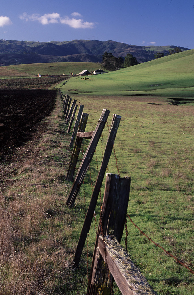 TURRI RD012 ALAN SCHMIERER Flickr