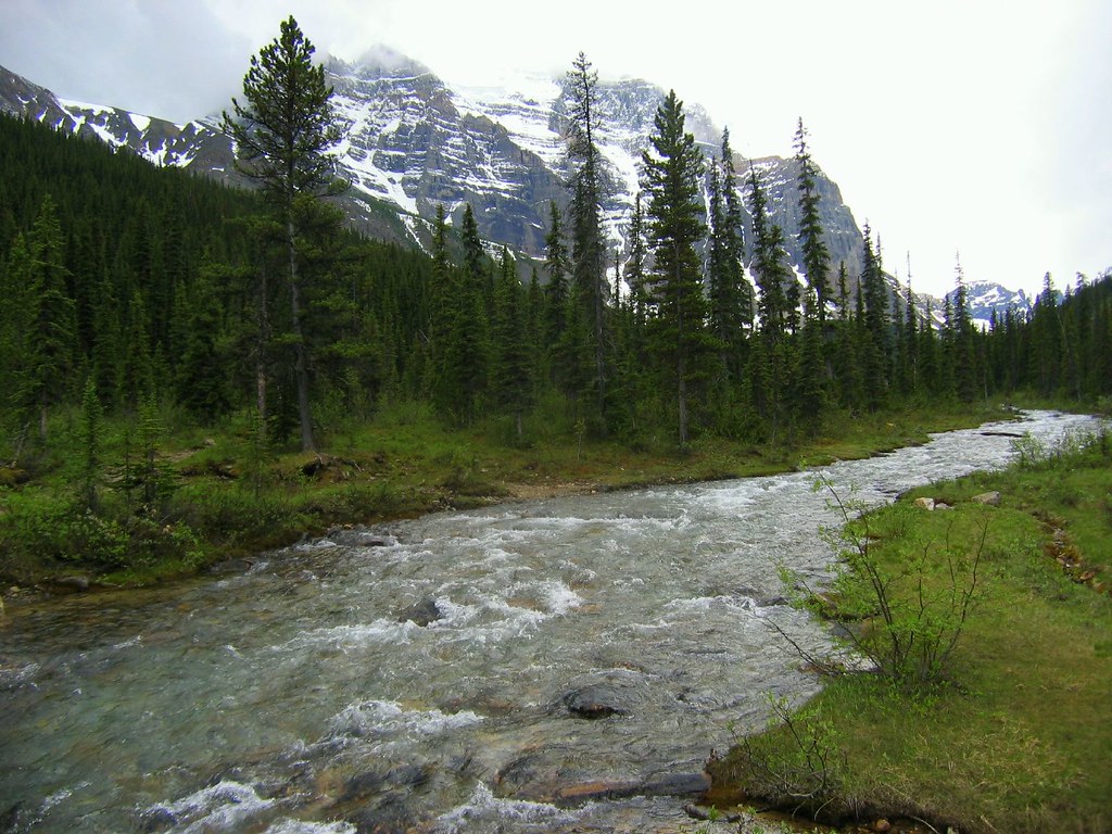 paradise valley John Johnston Flickr