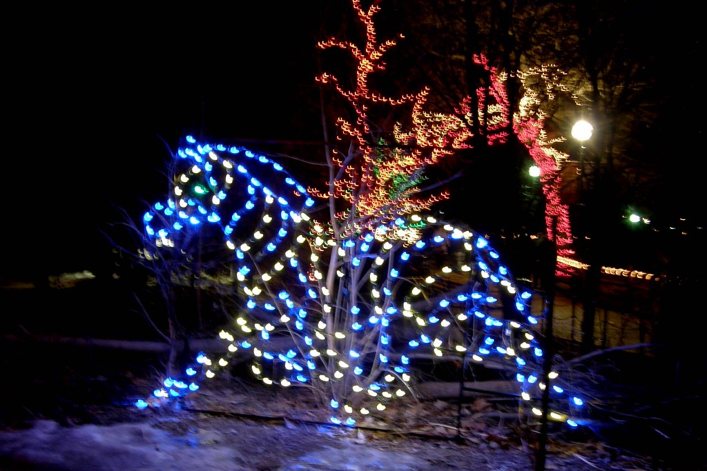Lincoln Park Zoo Lights 08 Lincoln Park Zoo, Zoo Lights 08… Flickr