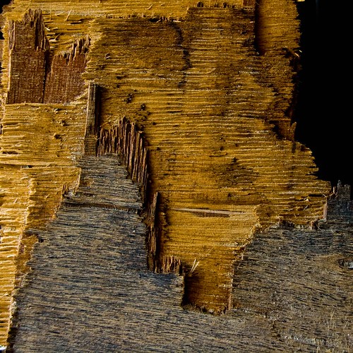 On Black Driftwood by on1stsite. [Medium]