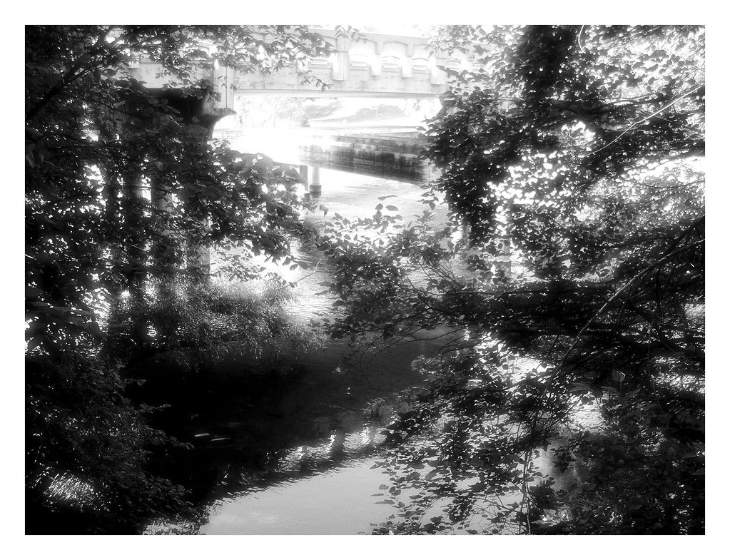 Huron River at Riverside Park, Ypsilanti manipulated a bit… Flickr