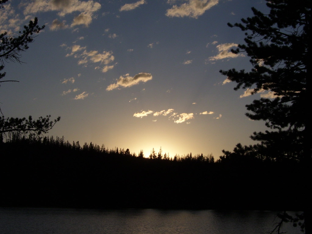 MARSH LAKE 029 buffalolady Flickr