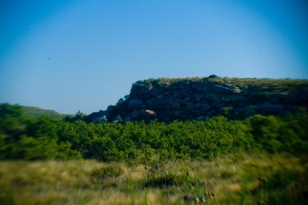 The Bluff The bluff which is the main feature of the natur… Flickr