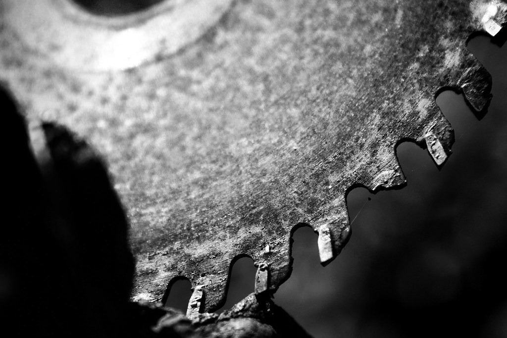 Rise your weak wings Listen to the silence Hear your blood… Flickr