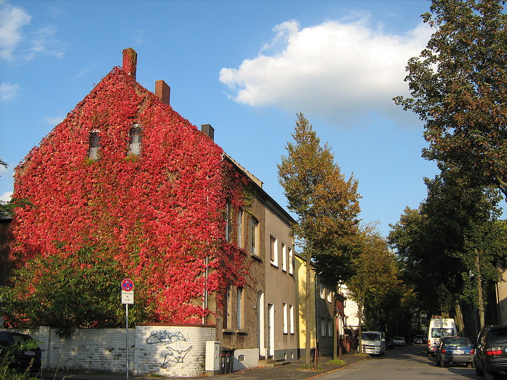 Red house Duisburg Rheinhausen Jürgen Flickr