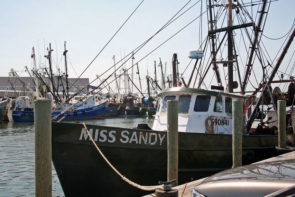 Point Pleasant New Jersey's Commerical Fishing Fleet Flickr