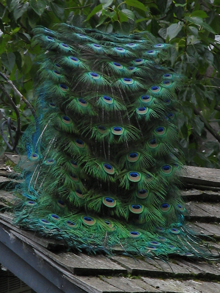 July 10th 2007 at the car wash and duck pond,,,, eagle riv… Flickr