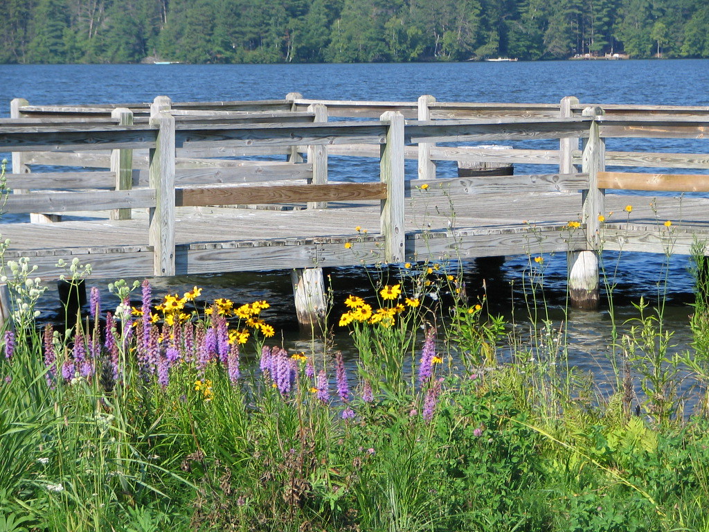 Lake View View of Fishing Pier at Boom Lake in Rhinelander… Flickr