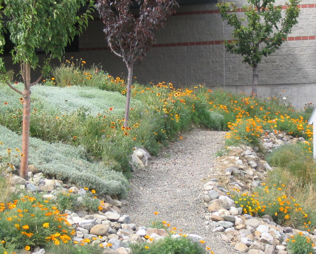 Gravel Path and Wildflowers Maureen Shaughnessy Flickr
